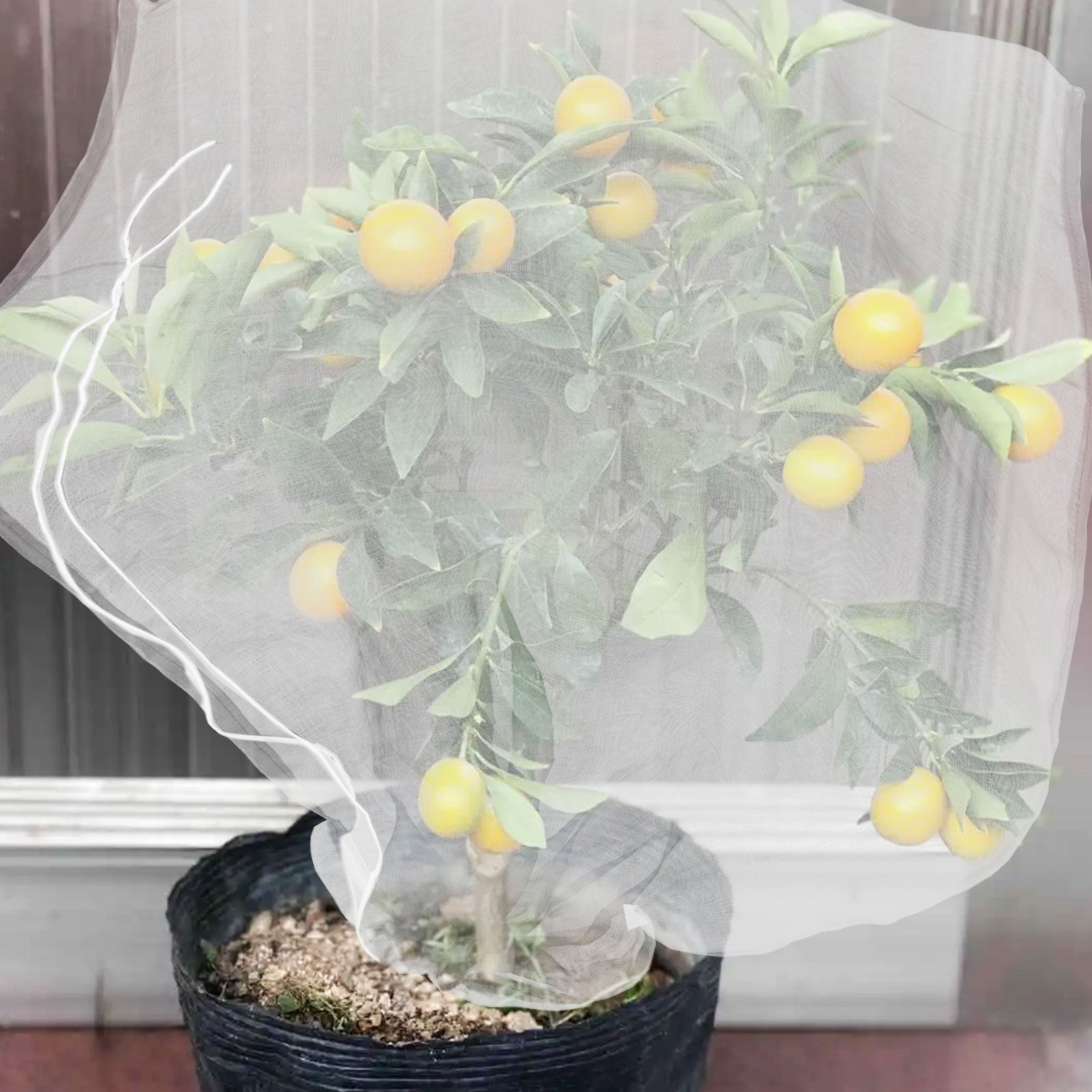 8Pcs Fine Mesh Plant Protectio - огляд і ціна Mesh Net Bag